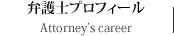 弁護士プロフィール